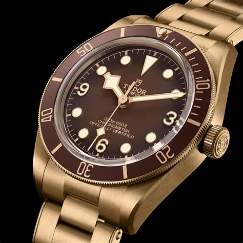 tudor bronze 40mm|tudor black bay bronze watch.